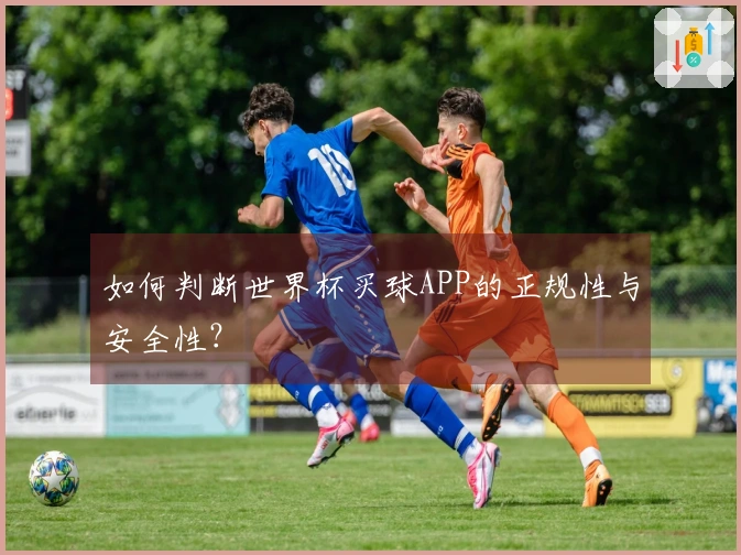 如何判断世界杯买球APP的正规性与安全性？