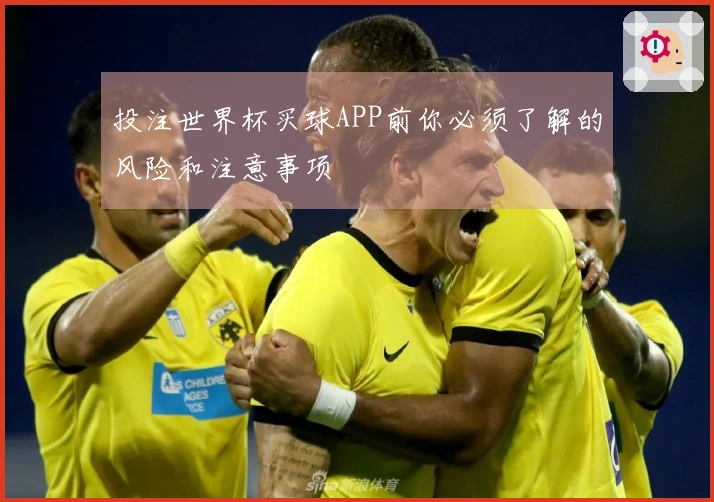投注世界杯买球APP前你必须了解的风险和注意事项