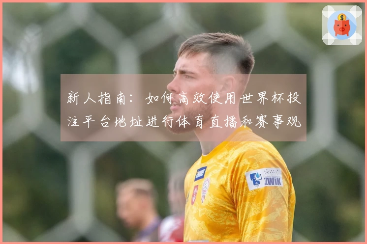 新人指南：如何高效使用世界杯投注平台地址进行体育直播和赛事观赏