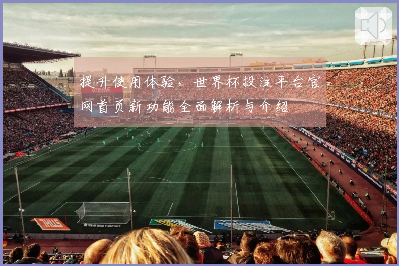 提升使用体验，世界杯投注平台官网首页新功能全面解析与介绍