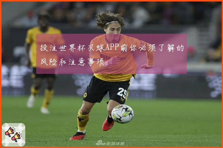 投注世界杯买球APP前你必须了解的风险和注意事项