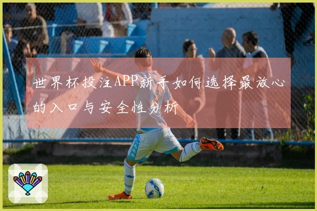 世界杯投注APP新手如何选择最放心的入口与安全性分析