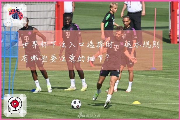 世界杯下注入口选择时，返水规则有哪些要注意的细节？