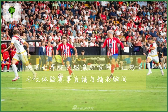 畅享世界杯买球最新官网，让您全方位体验赛事直播与精彩瞬间