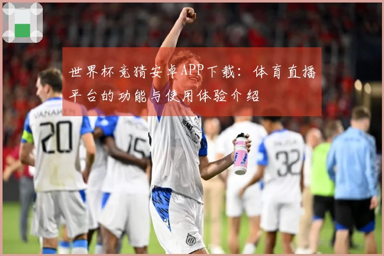 世界杯竞猜安卓APP下载：体育直播平台的功能与使用体验介绍