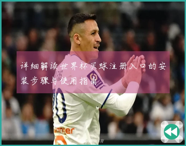 详细解读世界杯买球注册入口的安装步骤与使用指南