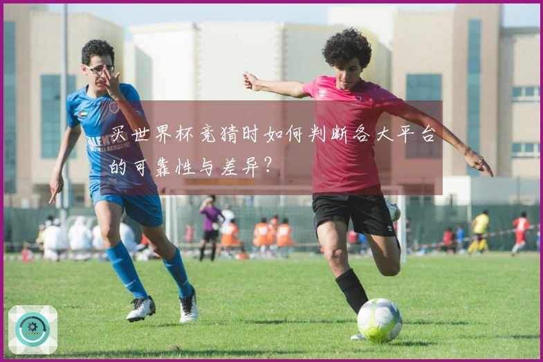买世界杯竞猜时如何判断各大平台的可靠性与差异？