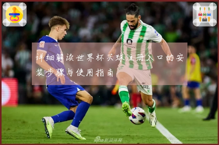 详细解读世界杯买球注册入口的安装步骤与使用指南