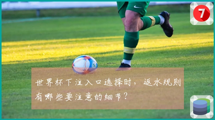 世界杯下注入口选择时,返水规则有哪些要注意的细节?