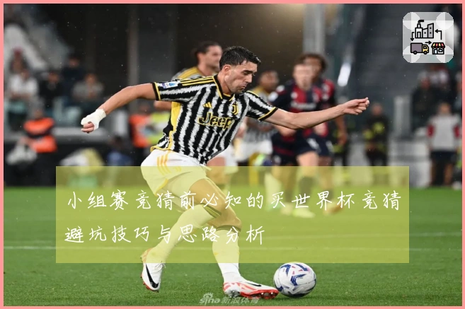 小组赛竞猜前必知的买世界杯竞猜避坑技巧与思路分析