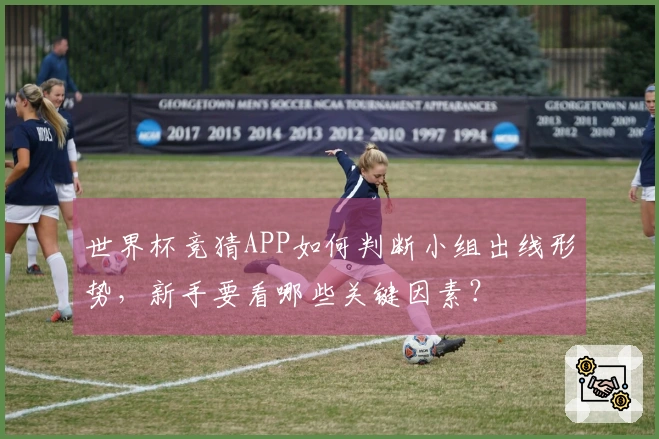 世界杯竞猜APP如何判断小组出线形势，新手要看哪些关键因素？
