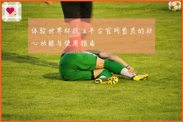 体验世界杯投注平台官网首页的核心功能与使用指南